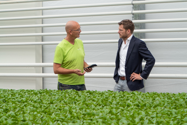 twee heren hebben overleg in een kas vol groene planten
